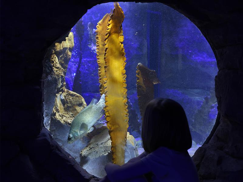 Liverpool shop aquarium shop